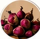 Botanicals
